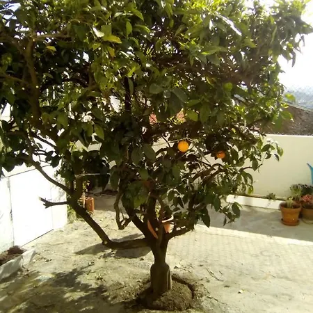 Casa de Férias House Family